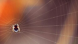 April Theme: The Gift of Interdependence