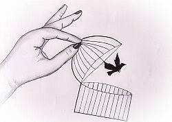 bird-cage-fly-away-topaz
