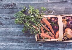 Carrots and onions in brown wicker basket