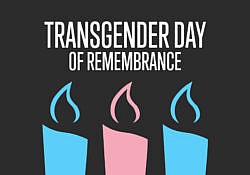 TDOR-image-scaled smaller
