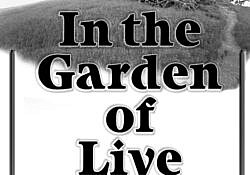 in the garden of living flowers resized