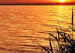 choosing hope square