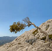 embodying-resilience-2026-02