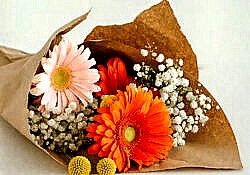flower service flower service