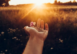 hand out sunset