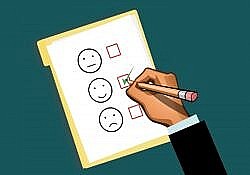 survey