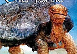 Old Turtle1