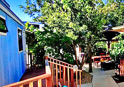 Tiny Homes at Safe Harbor Blue tiny home and shaded patio at the Tiny Homes at Safe Harbor