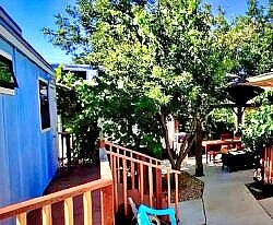 Let’s help beautify the Tiny Homes at Safe Harbor! May 23rd